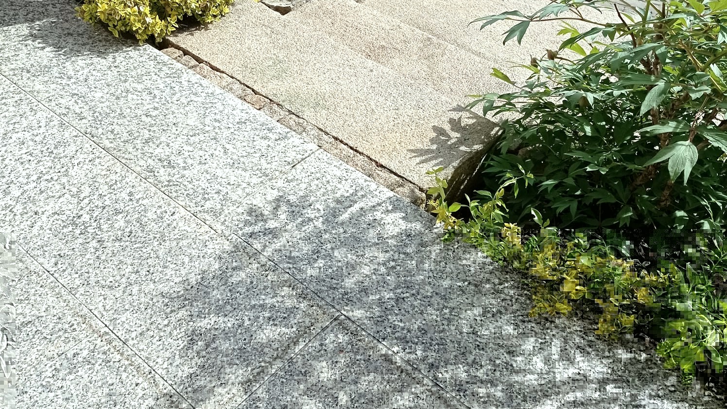 Außenanlagenreinigung Heidelberg