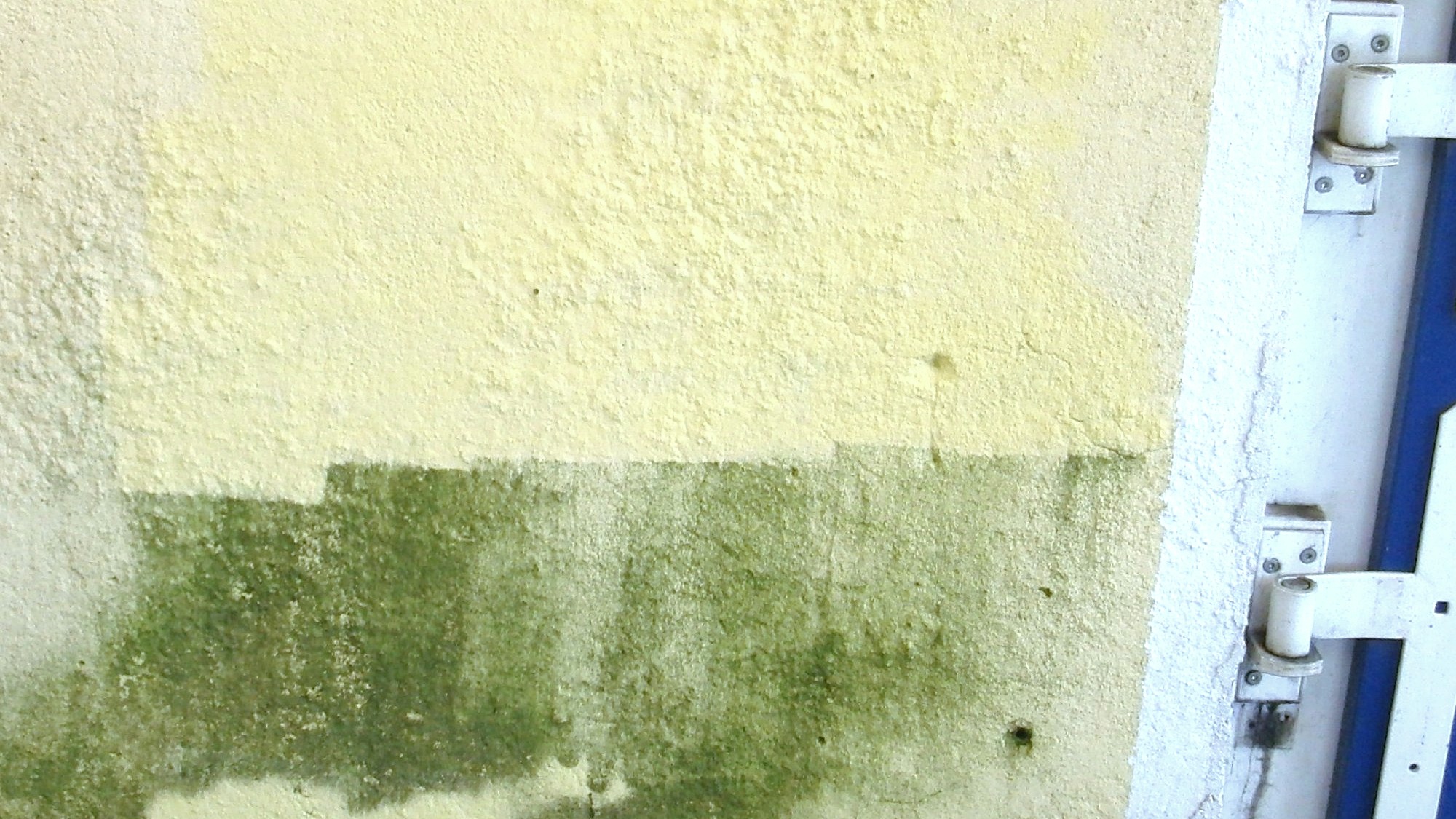 Fassadenreinigung Mannheim